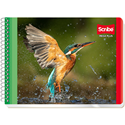 Cuaderno Scribe forma italiana mega pluscuadro grande (7 mm), con 100 hojas