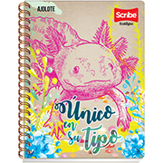 Cuaderno Scribe profesional ecológico adro chico (5 mm), con 100 hojas