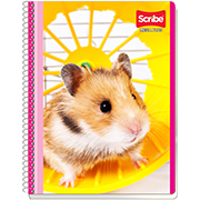 Cuaderno Scribe profesional mega plus blanco, con 100 hojas