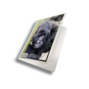 [SCR-CUA-C4541] Cuaderno F. Francesa ESCOLAR MEGA blanco c/100 hojas